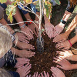 Volunteers planting native trees at McNaughton Avenue Public School