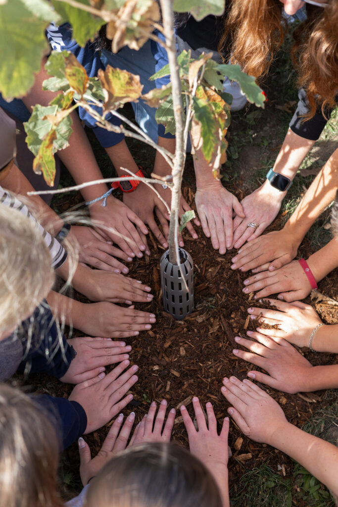 Volunteers planting native trees at McNaughton Avenue Public School