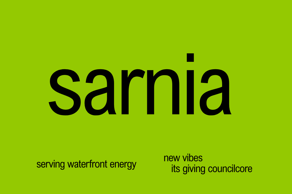 The Sarnia municipal election, sponsored by ChatGPT